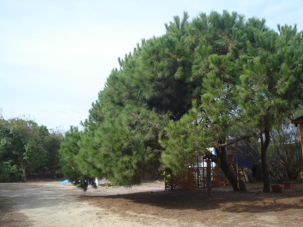 Сasa de vacaciones Dunas Primera Linea Playa *