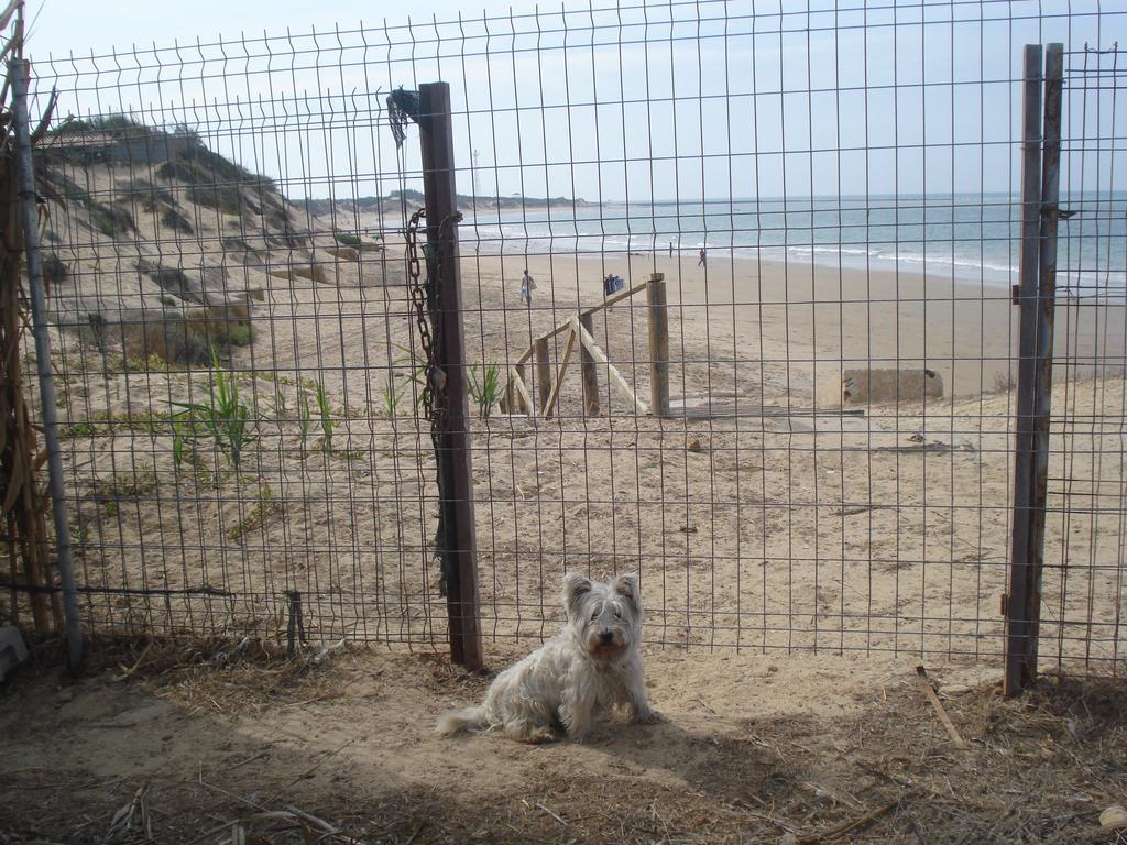 Dunas Primera Linea Playa Сasa de vacaciones Rota