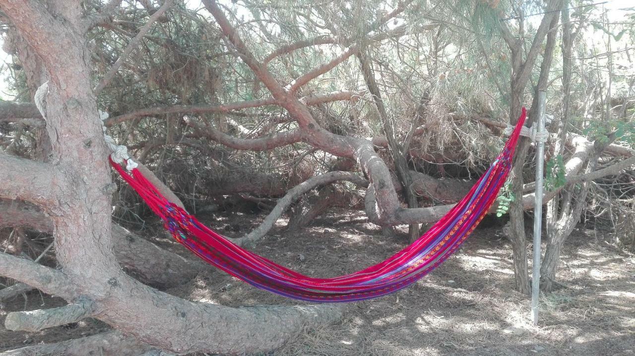 Сasa de vacaciones Dunas Primera Linea Playa *