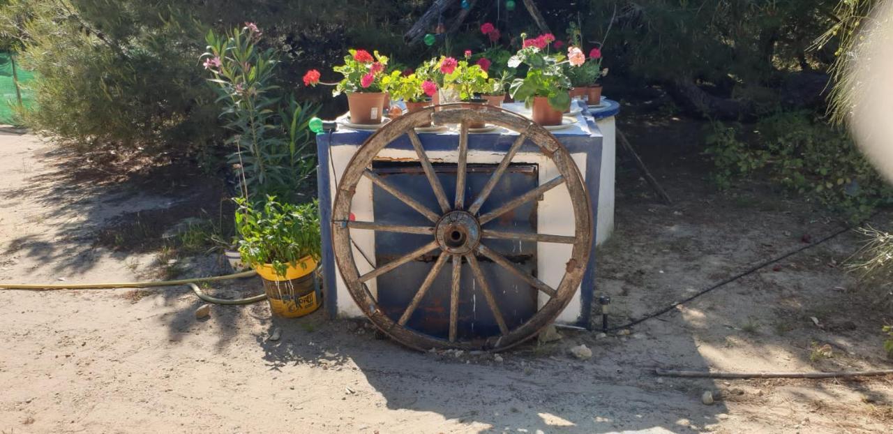 En Dunas Dos Con Jacuzzis En Primera Linea De Playa , Uno De 4 Y Otro De 2 Dormitorios, Llama Al Seiscientos Veintisiete Cuatrocientos Diecisiete Trescientos Noventa Y Ocho Hébergement de vacances