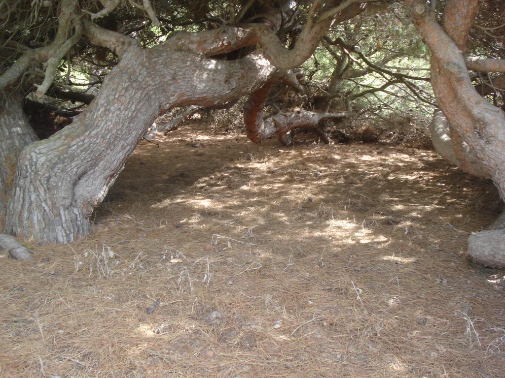 En Dunas Dos Con Jacuzzis En Primera Linea De Playa , Uno De 4 Y Otro De 2 Dormitorios, Llama Al Seiscientos Veintisiete Cuatrocientos Diecisiete Trescientos Noventa Y Ocho Dom wakacyjny