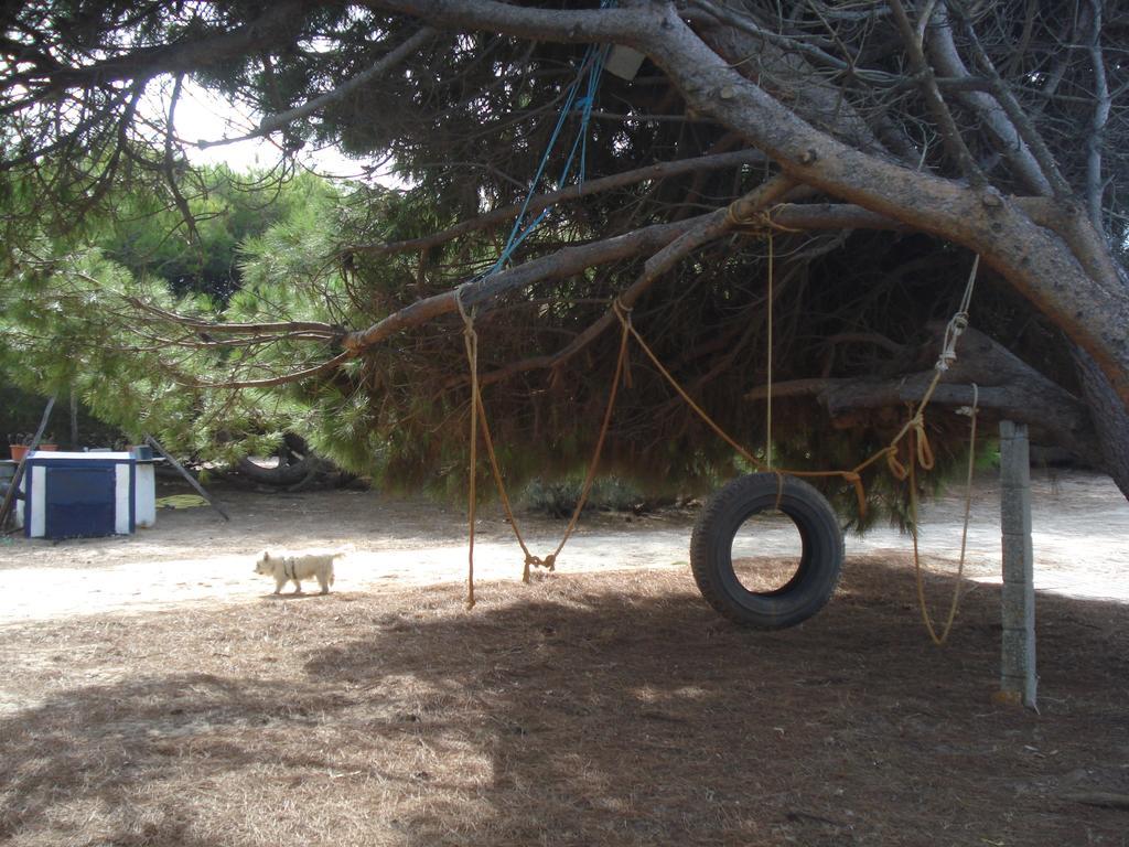 Dom wakacyjny En Dunas Dos Con Jacuzzis En Primera Linea De Playa , Uno De 4 Y Otro De 2 Dormitorios, Llama Al Seiscientos Veintisiete Cuatrocientos Diecisiete Trescientos Noventa Y Ocho